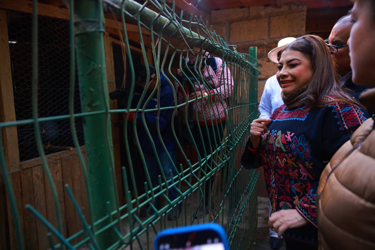 nxnoticias.com-clara-no-se-confia-en-las-encuestas