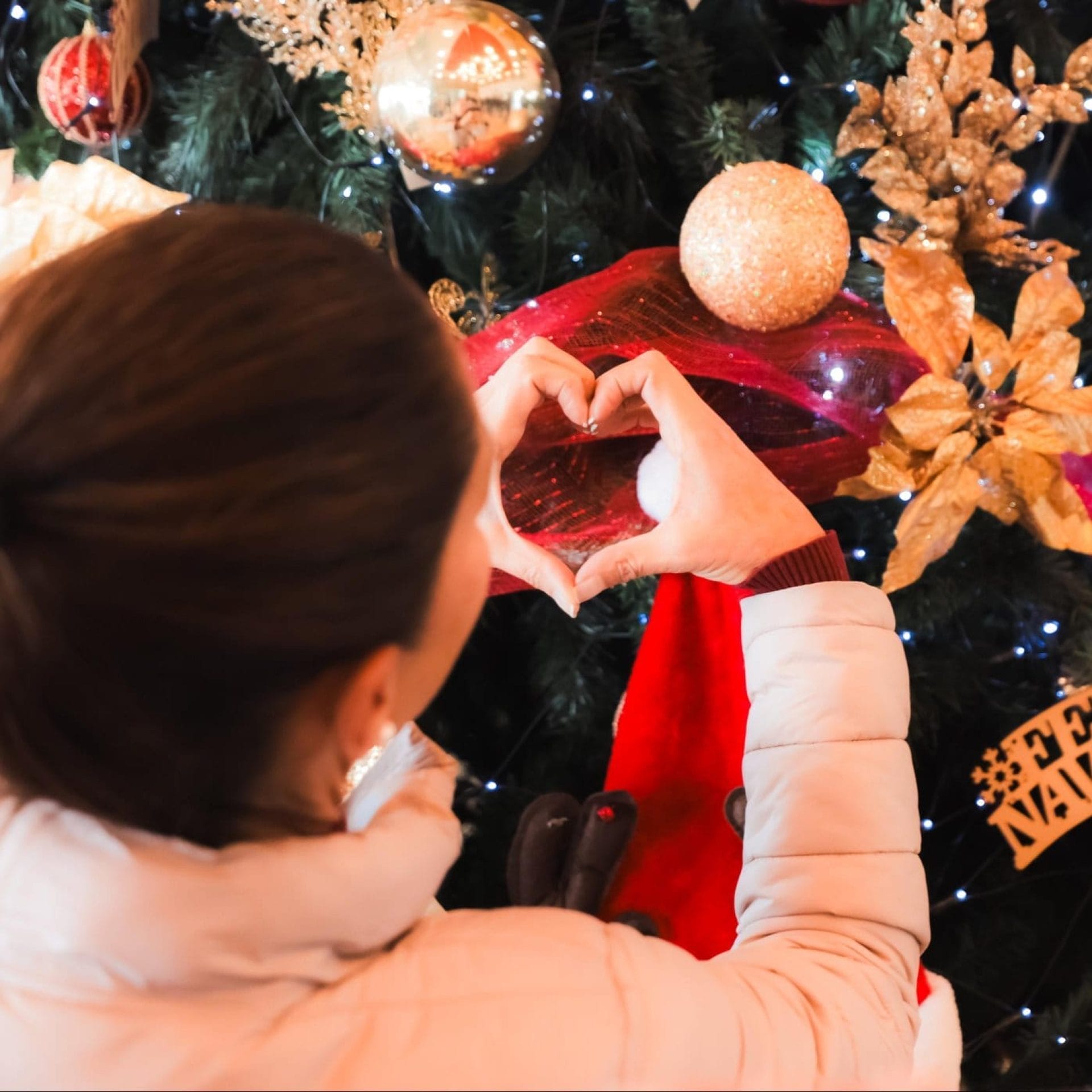 nxnoticias.com-desea-claudia-bienestar-y-esperanza-en-nochebuena-y-navidad