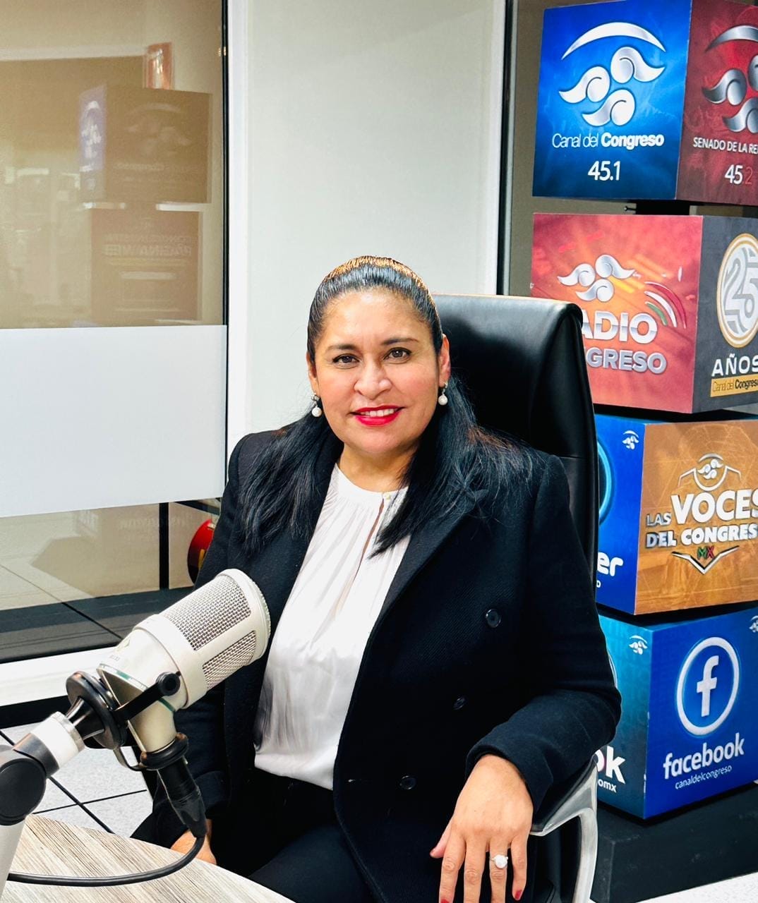 nxnoticias.com-el-senado-en-busca-de-acuerdos-para-nombrar-nueva-ministra-de-la-corte
