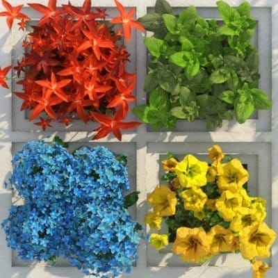 nxnoticias.com-alcanza-microsoft-valor-historico