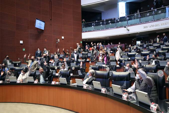 nxnoticias.com-va-morena-en-el-senado-contra-clinicas-de-belleza-patito