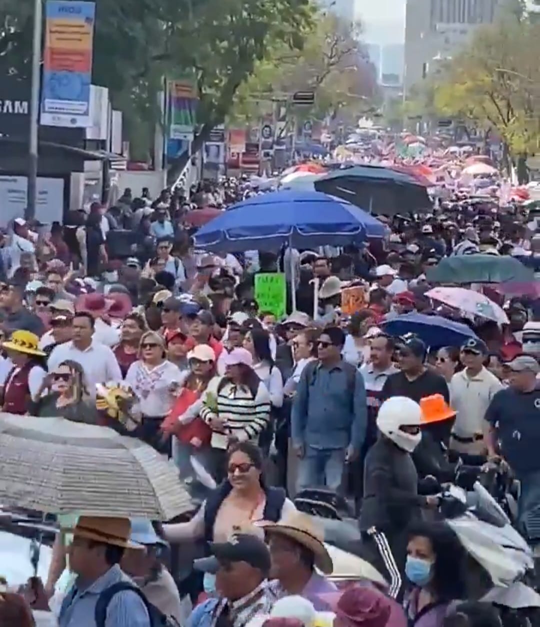 nxnoticias.com-asi-se-vivio-el-inicio-de-campana-de-claudia-en-el-zocalo