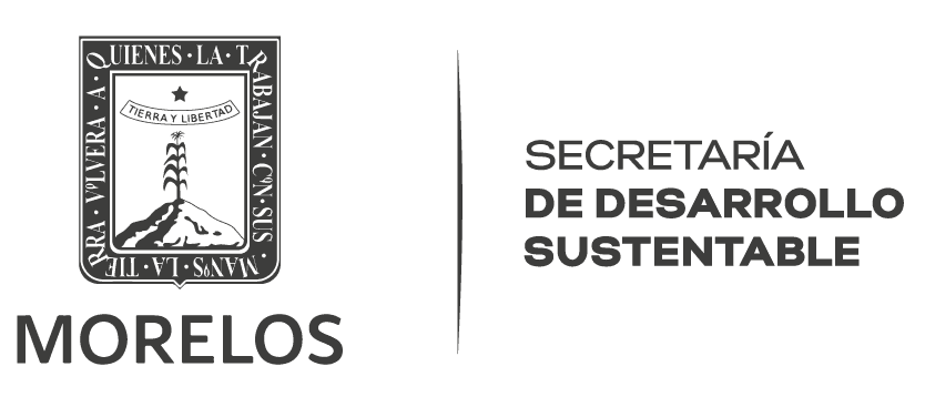 nxnoticias.com-audio-revela-supuesto-apoyo-de-la-secretaria-de-desarrollo-sustentable-de-morelos-a-candidata-del-pan-pri-prd