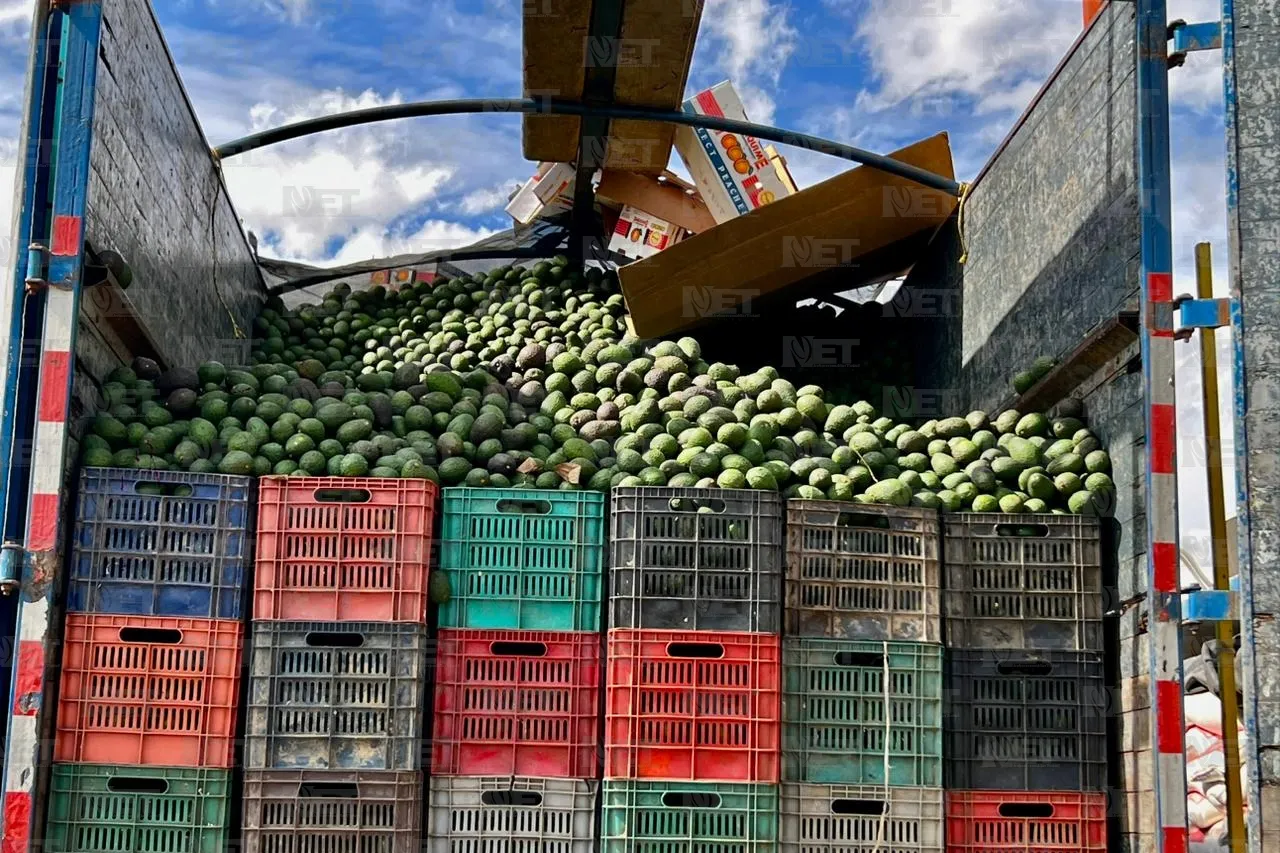 nxnoticias.com-investiga-fgr-robo-de-40-toneladas-de-aguacate-en-autopistas-de-michoacan