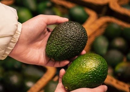 nxnoticias.com-michoacan-vuelve-a-exportar-aguacate-a-estados-unidos