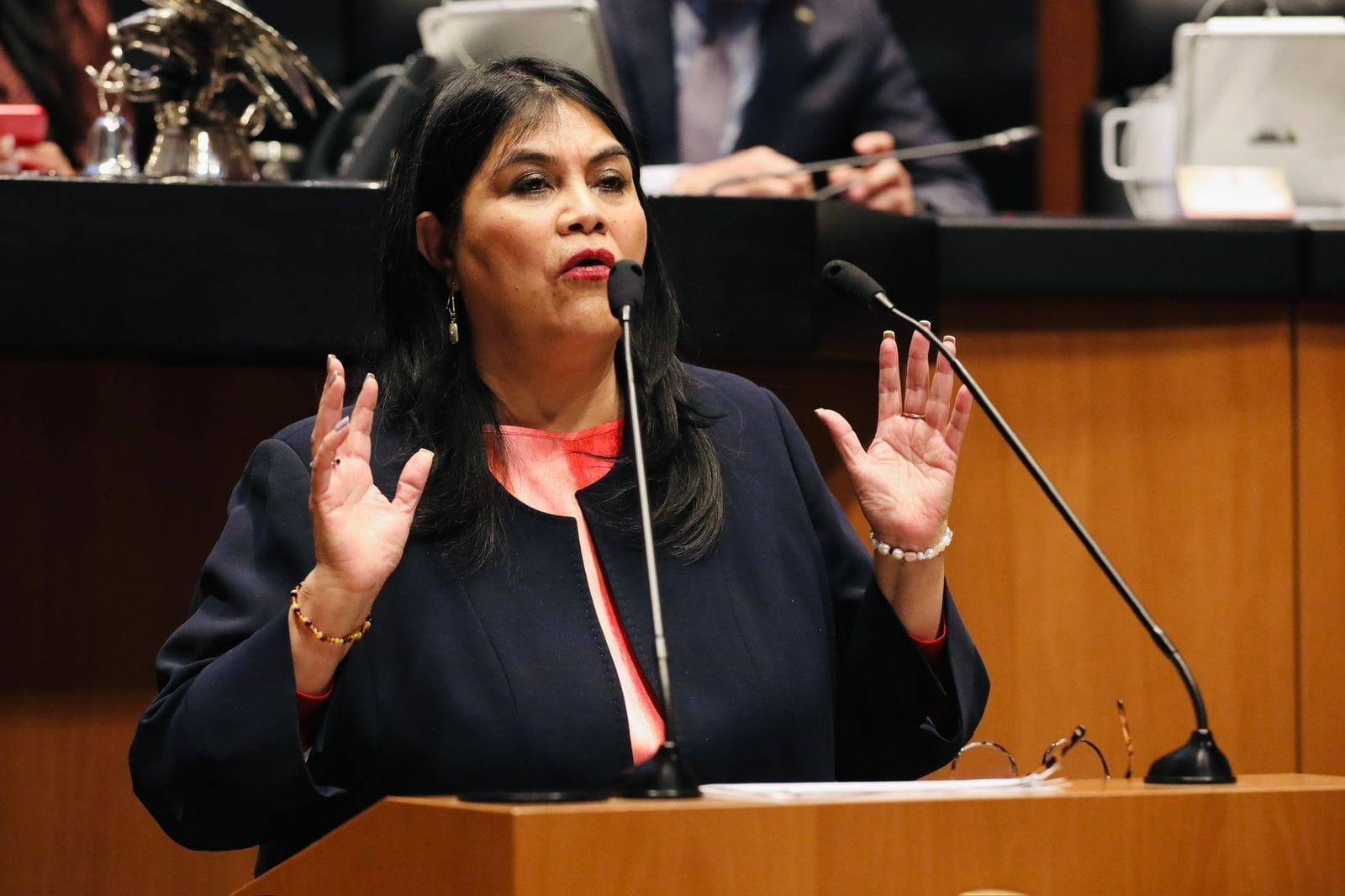 nxnoticias.com-se-esta-construyendo-un-pj-que-se-niega-a-ser-reformulado-afirma-la-diputada-guadalupe-chavira