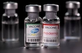nxnoticias.com-pfizer-y-moderna-podran-distribuir-vacunas-actualizadas-para-covid-19