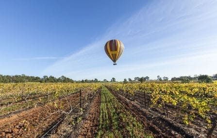 nxnoticias.com-tecnologia-como-catalizador-para-el-turismo-rural