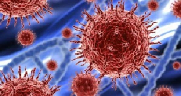 nxnoticias.com-nuevo-estudio-confirma-el-origen-del-covid-19-en-mercado-de-china