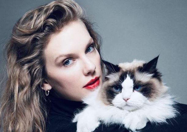 nxnoticias.com-taylor-swift-adelanta-que-votara-por-la-candidata-democrata-kamala-harris