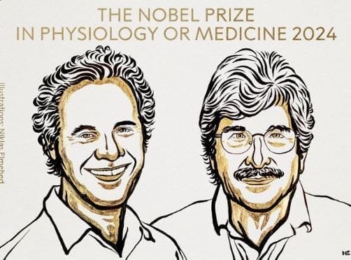nxnoticias.com-otorgan-premio-nobel-de-medicina-a-victor-ambros-y-gary-ruvkun
