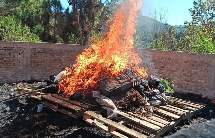 nxnoticias.com-asegura-gabinete-de-seguridad-drogas-y-armas-de-fuego-en-al-menos-10-estados