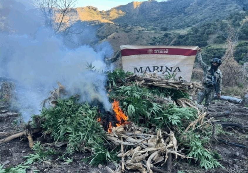 nxnoticias.com-como-parte-de-la-estrategia-de-seguridad-se-lograron-detenciones-cateos-y-decomisos-en-mas-de-la-mitad-del-pais