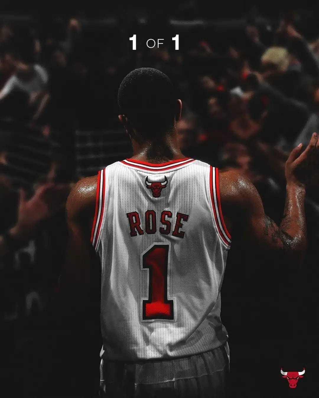 nxnoticias.com-los-chicago-bulls-rendiran-homenaje-a-derrick-rose-retirando-su-jersey-numero-1