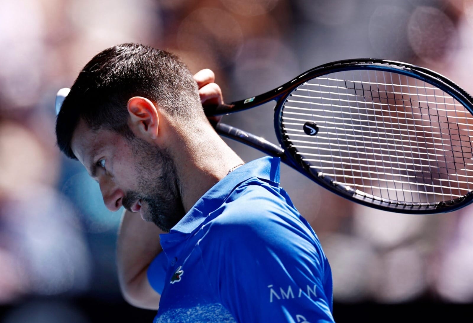 nxnoticias.com-novak-djokovic-se-ausenta-de-la-copa-davis-por-lesion