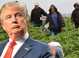 nxnoticias.com-batalla-legal-por-politicas-migratorias-de-trump