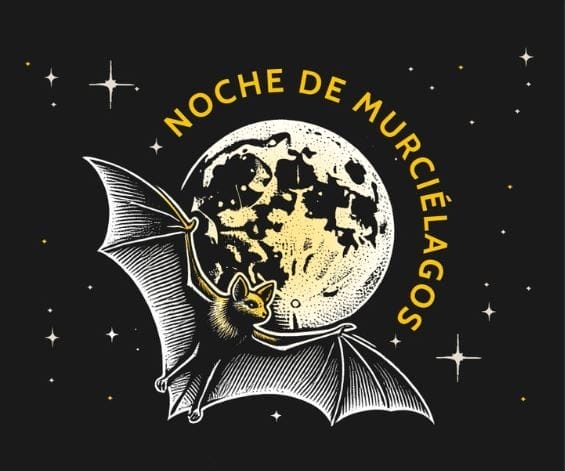 nxnoticias.com-gobierno-de-la-cdmx-invita-al-recorrido-noches-de-murcielagos