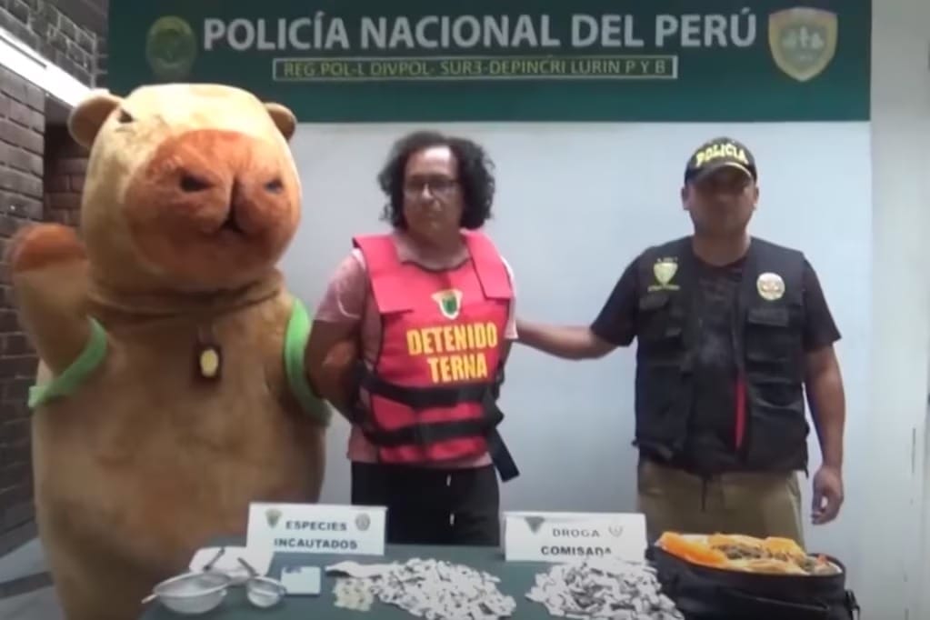 nxnoticias.com-policia-se-disfraza-de-capibara-para-detener-a-narcotraficante