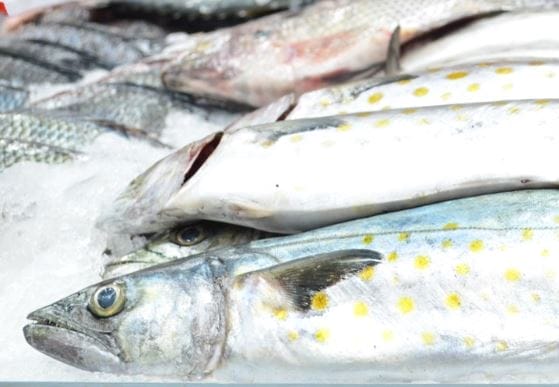 nxnoticias.com-cofepris-inicio-operativo-cuaresma-2025