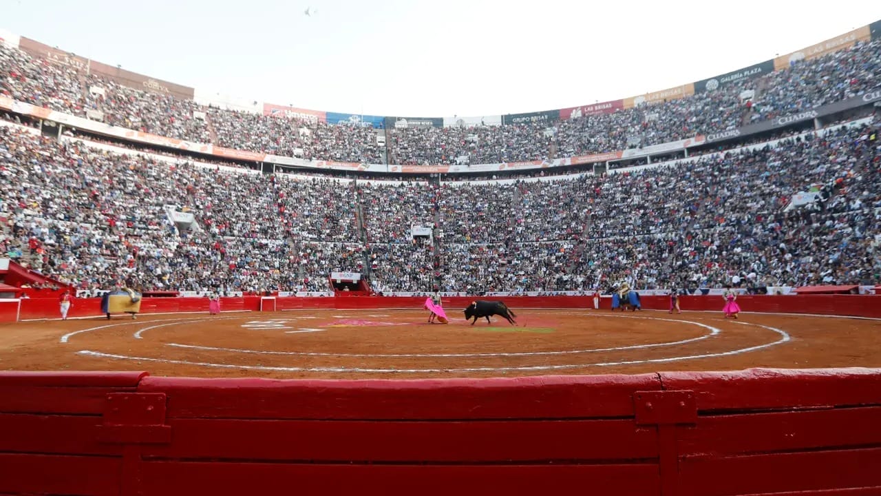 nxnoticias.com-prohiben-en-cdmx-corridas-de-toros-brugada-lanza-propuesta