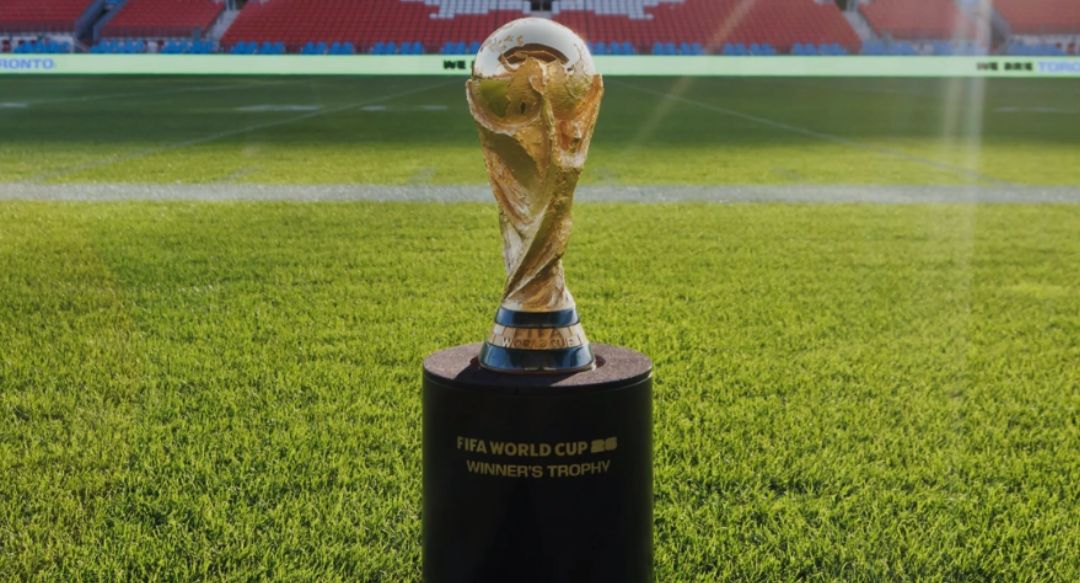 nxnoticias.com-borrador-automatico