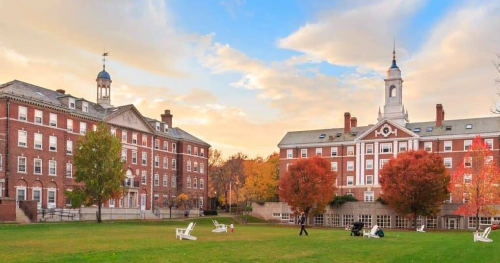 nxnoticias.com-borrador-automatico