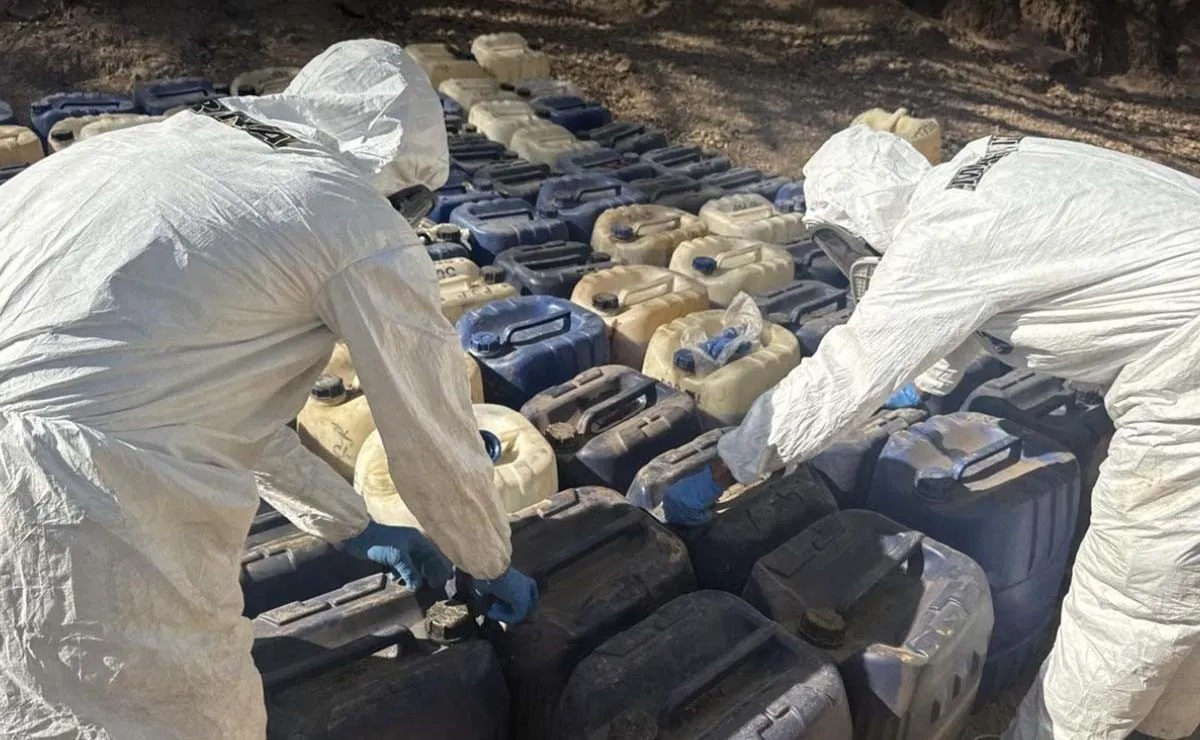 nxnoticias.com-borrador-automatico