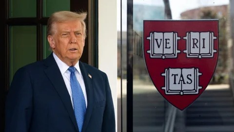 nxnoticias.com-borrador-automatico