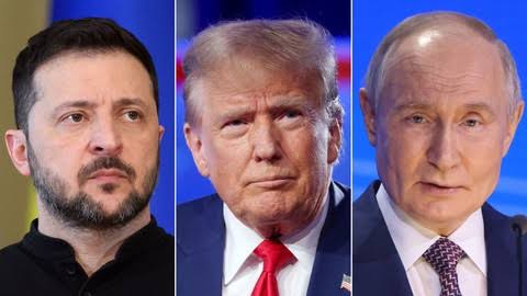 nxnoticias.com-borrador-automatico