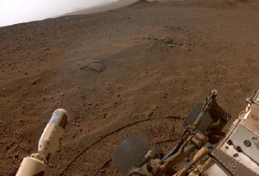 nxnoticias.com-borrador-automatico