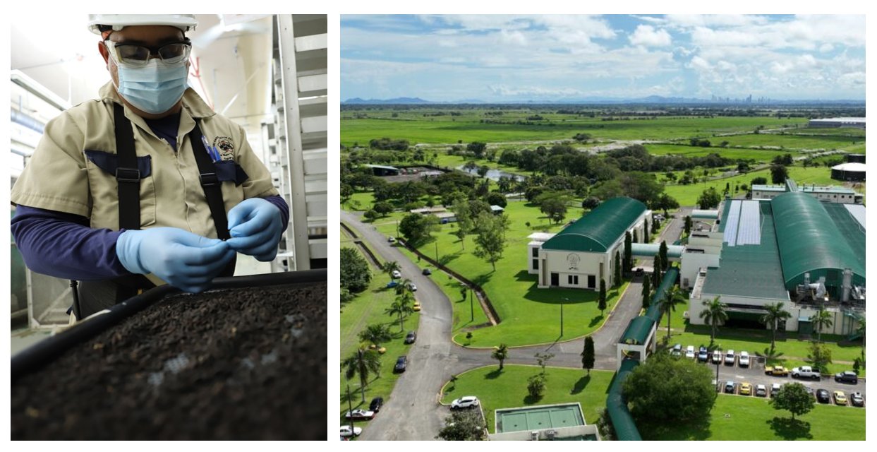 nxnoticias.com-borrador-automatico