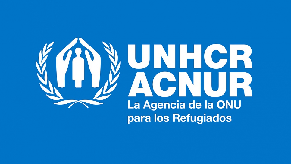 nxnoticias.com-borrador-automatico