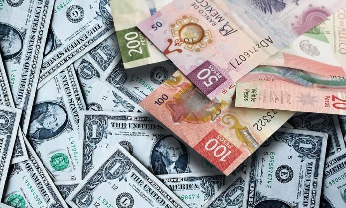 nxnoticias.com-borrador-automatico