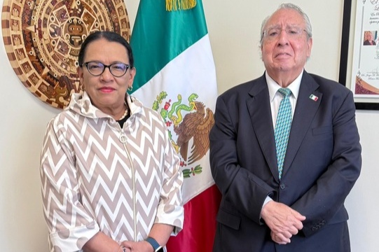 nxnoticias.com-borrador-automatico