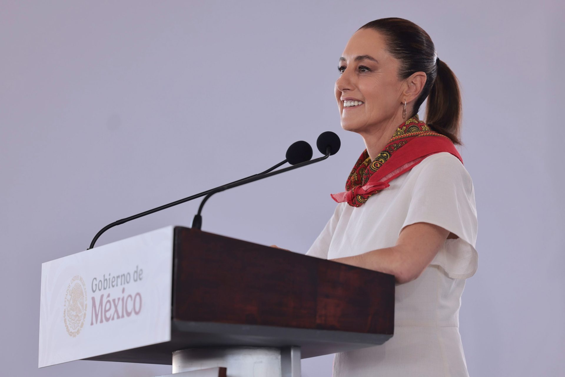 nxnoticias.com-borrador-automatico