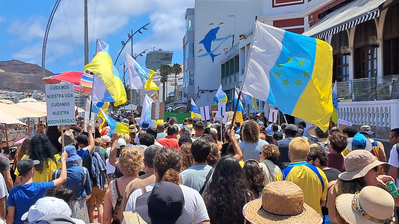 nxnoticias.com-borrador-automatico