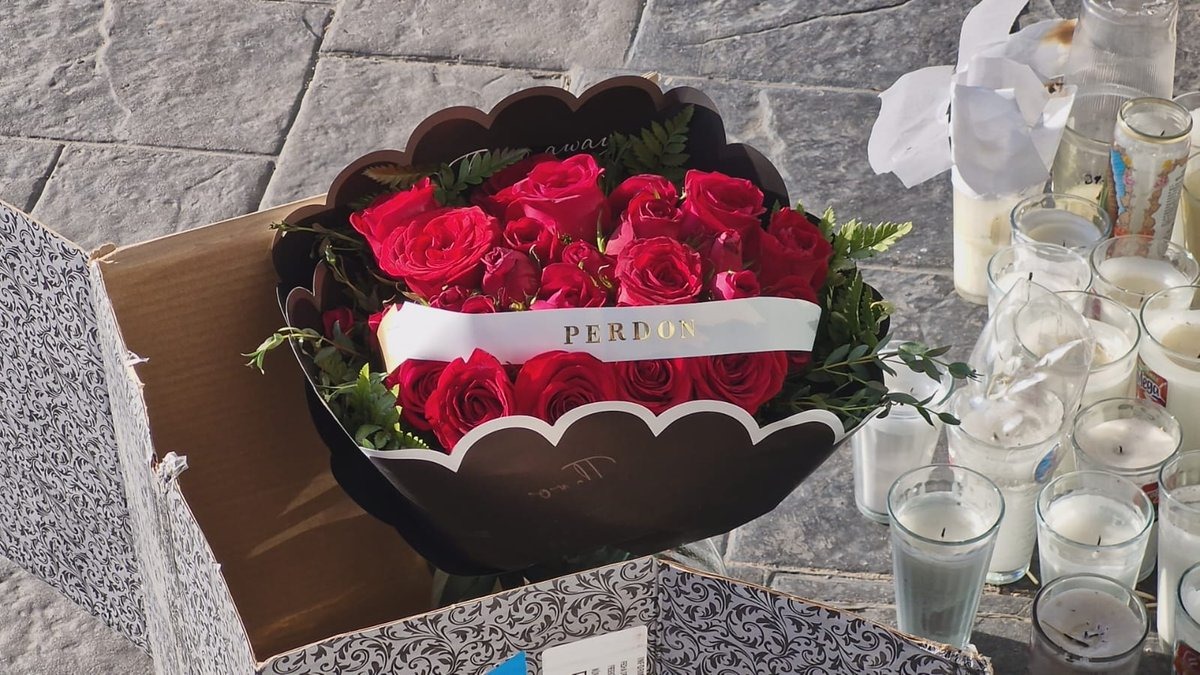 nxnoticias.com-borrador-automatico