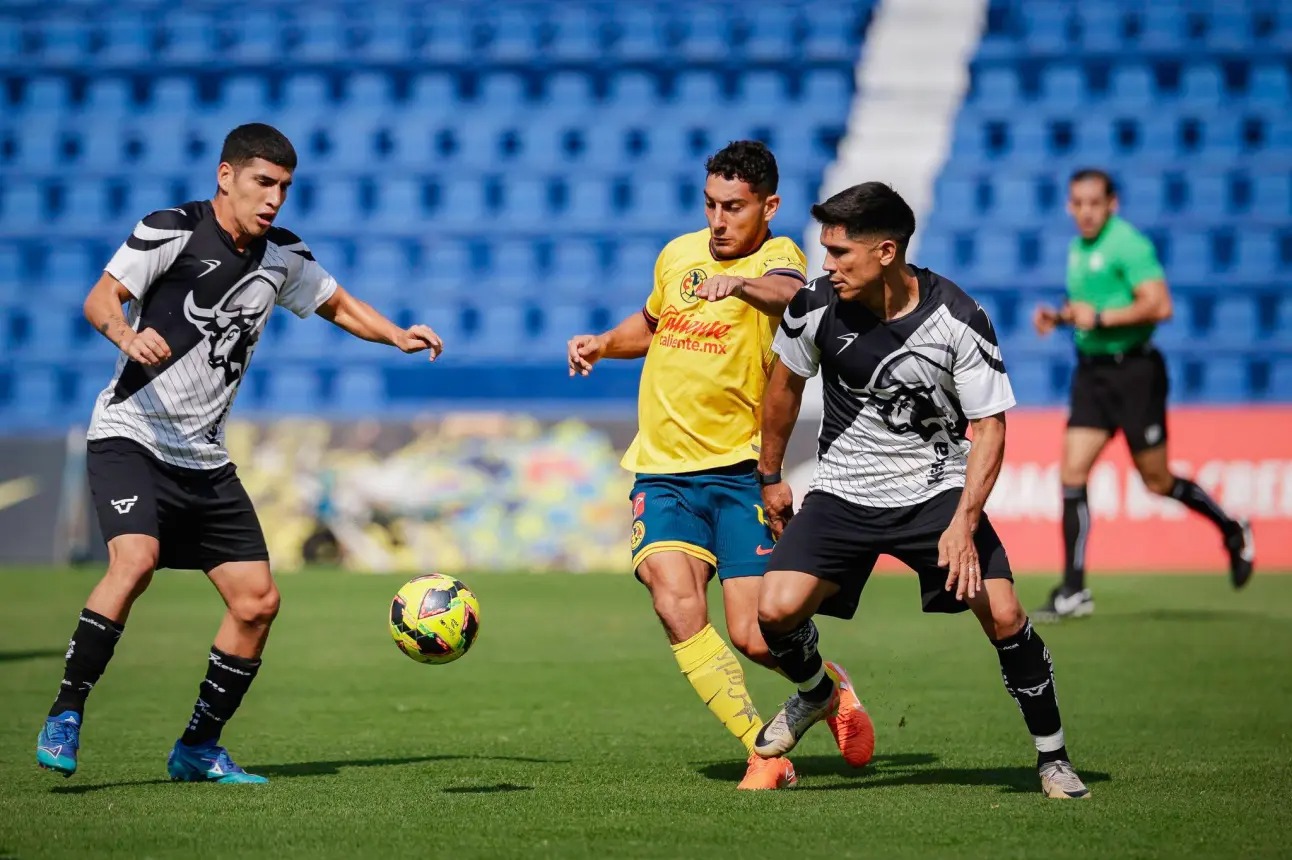 nxnoticias.com-borrador-automatico