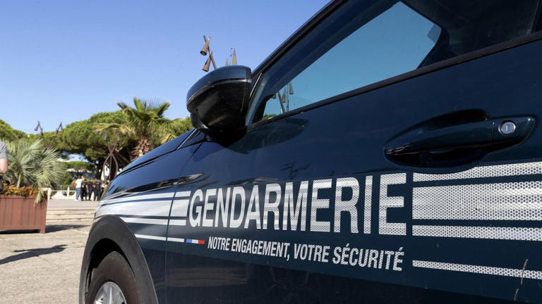 nxnoticias.com-borrador-automatico