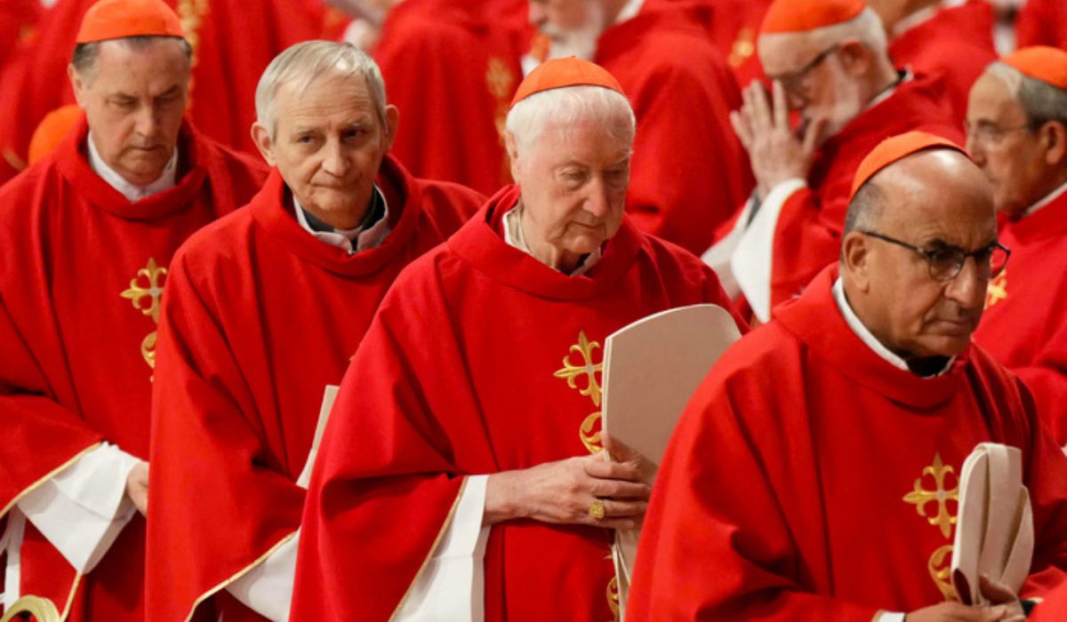 nxnoticias.com-borrador-automatico