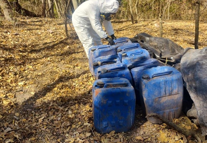 nxnoticias.com-casi-32-toneladas-de-droga-aseguradas-con-operacion-frontera-norte